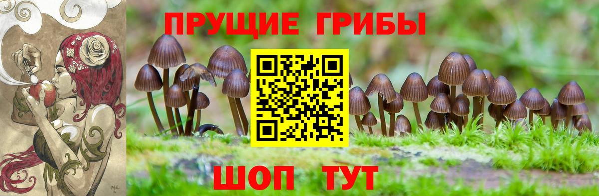 Шахты  Псилоцибиновые грибы Psilocybine cubensis  Вход с VPN 